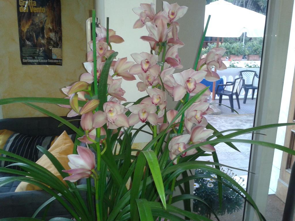 Hotel Sogno Viareggio Ngoại thất bức ảnh