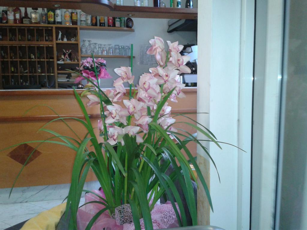 Hotel Sogno Viareggio Ngoại thất bức ảnh